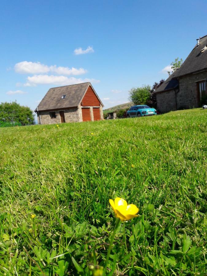 The Barn Annexe, Cefn-Yr-Allt Crickadarn エクステリア 写真